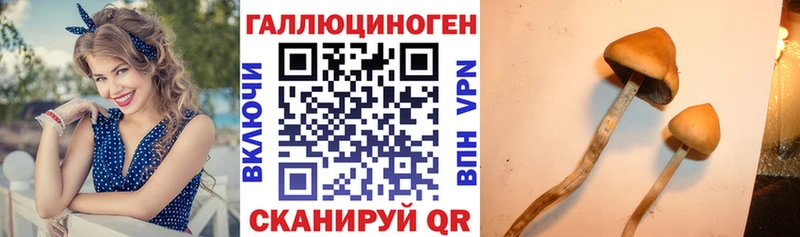 купить наркоту  Рассказово  Псилоцибиновые грибы MAGIC MUSHROOMS 